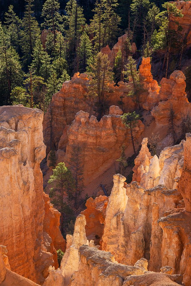 Sunrise at Bryce Canyon National Park, Utah